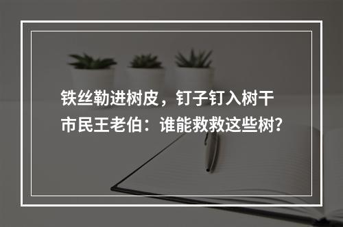铁丝勒进树皮，钉子钉入树干 市民王老伯：谁能救救这些树？