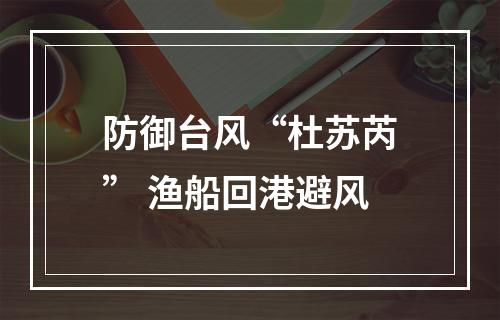 防御台风“杜苏芮” 渔船回港避风