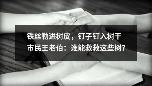 铁丝勒进树皮，钉子钉入树干 市民王老伯：谁能救救这些树？