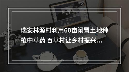 瑞安林源村利用60亩闲置土地种植中草药 百草村让乡村振兴更具活力