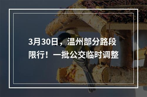 3月30日，温州部分路段限行！一批公交临时调整