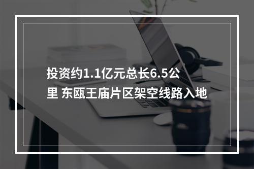 投资约1.1亿元总长6.5公里 东瓯王庙片区架空线路入地