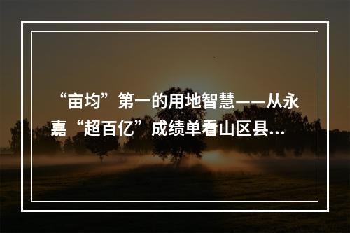 “亩均”第一的用地智慧——从永嘉“超百亿”成绩单看山区县工业突围（一）