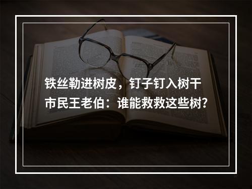 铁丝勒进树皮，钉子钉入树干 市民王老伯：谁能救救这些树？