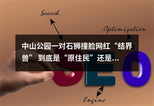 中山公园一对石狮撞脸网红“结界兽” 到底是“原住民”还是“外来客”？