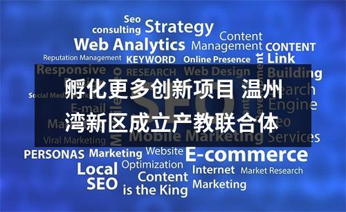 孵化更多创新项目 温州湾新区成立产教联合体