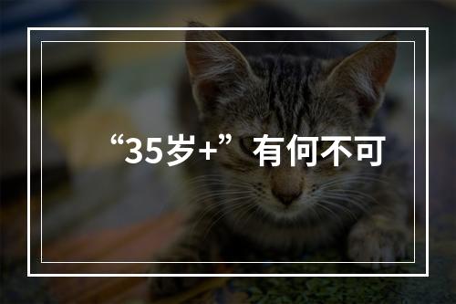“35岁+”有何不可
