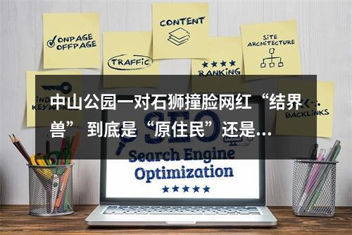 中山公园一对石狮撞脸网红“结界兽” 到底是“原住民”还是“外来客”？