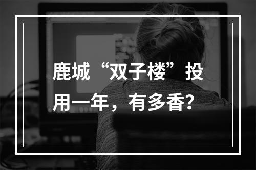 鹿城“双子楼”投用一年，有多香？