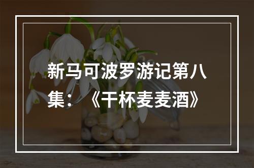 新马可波罗游记第八集：《干杯麦麦酒》