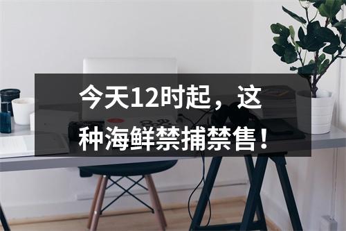 今天12时起，这种海鲜禁捕禁售！