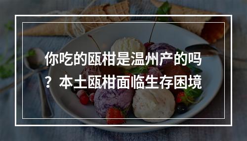 你吃的瓯柑是温州产的吗？本土瓯柑面临生存困境