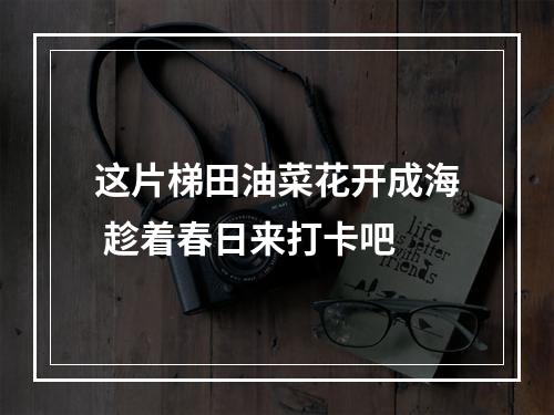 这片梯田油菜花开成海 趁着春日来打卡吧