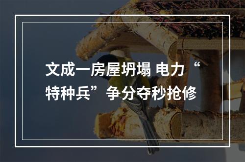 文成一房屋坍塌 电力“特种兵”争分夺秒抢修