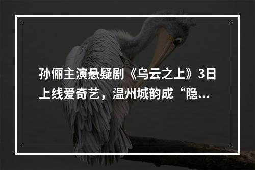 孙俪主演悬疑剧《乌云之上》3日上线爱奇艺，温州城韵成“隐形主角”