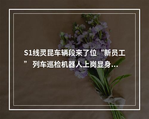 S1线灵昆车辆段来了位“新员工” 列车巡检机器人上岗显身手