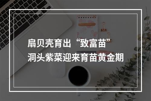 扇贝壳育出“致富苗” 洞头紫菜迎来育苗黄金期