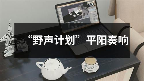 “野声计划”平阳奏响