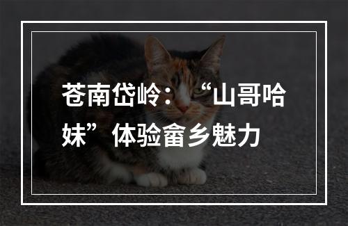 苍南岱岭：“山哥哈妹”体验畲乡魅力