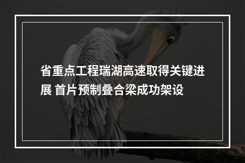 省重点工程瑞湖高速取得关键进展 首片预制叠合梁成功架设
