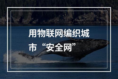 用物联网编织城市“安全网”