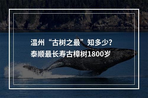 温州“古树之最”知多少？ 泰顺最长寿古樟树1800岁