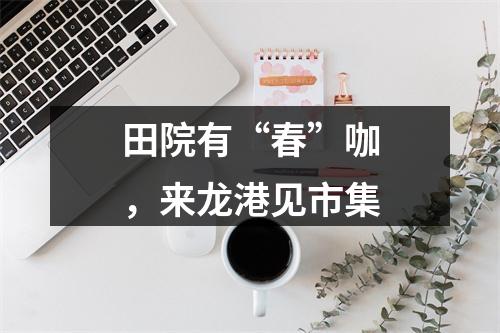 田院有“春”咖，来龙港见市集