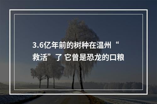3.6亿年前的树种在温州“救活”了 它曾是恐龙的口粮