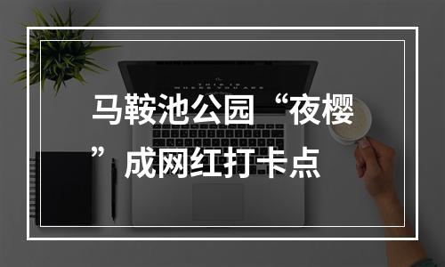马鞍池公园“夜樱”成网红打卡点