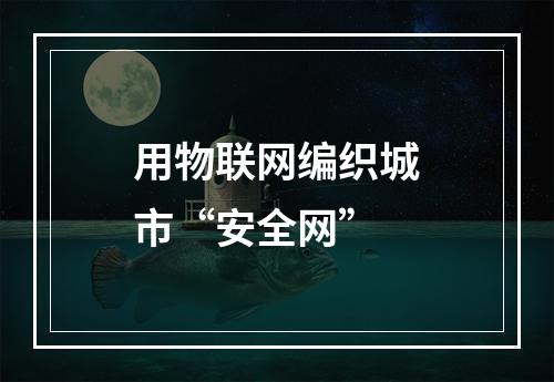 用物联网编织城市“安全网”