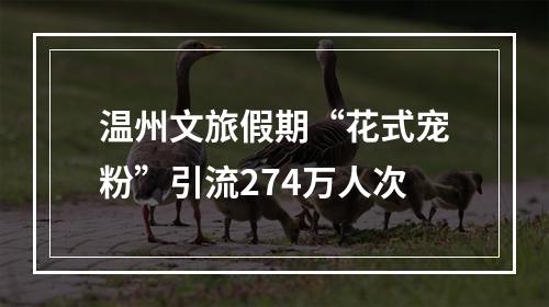温州文旅假期“花式宠粉”引流274万人次