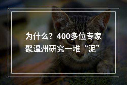 为什么？400多位专家聚温州研究一堆“泥”