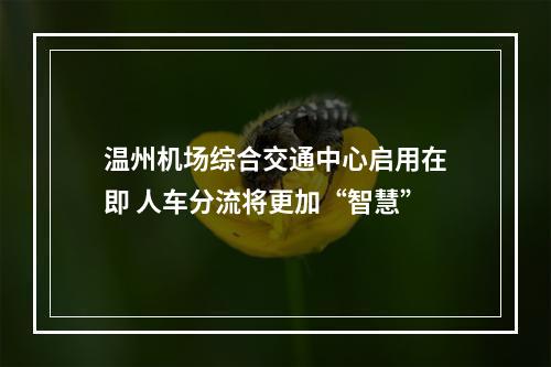 温州机场综合交通中心启用在即 人车分流将更加“智慧”