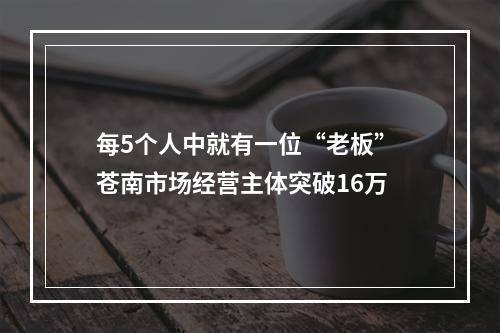 每5个人中就有一位“老板” 苍南市场经营主体突破16万