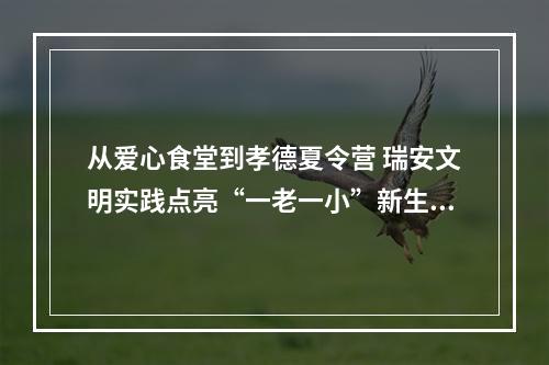 从爱心食堂到孝德夏令营 瑞安文明实践点亮“一老一小”新生活