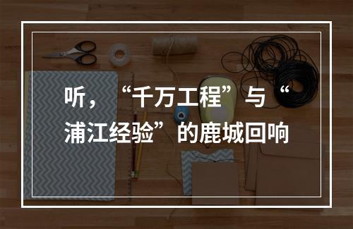 听，“千万工程”与“浦江经验”的鹿城回响