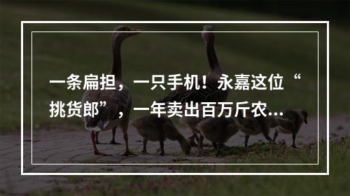 一条扁担，一只手机！永嘉这位“挑货郎”，一年卖出百万斤农货！
