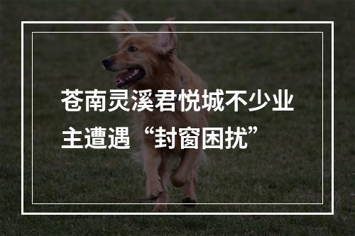 苍南灵溪君悦城不少业主遭遇“封窗困扰”