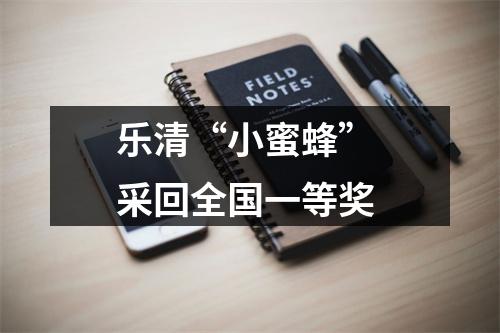 乐清“小蜜蜂” 采回全国一等奖