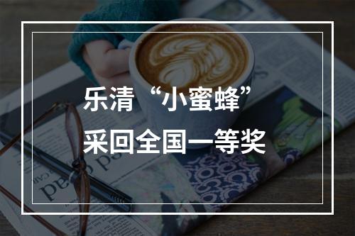 乐清“小蜜蜂” 采回全国一等奖