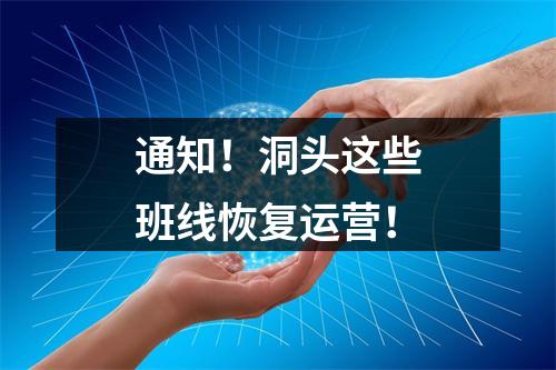 通知！洞头这些班线恢复运营！