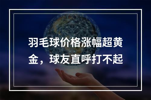 羽毛球价格涨幅超黄金，球友直呼打不起