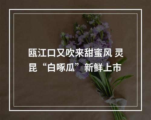 瓯江口又吹来甜蜜风 灵昆“白啄瓜”新鲜上市