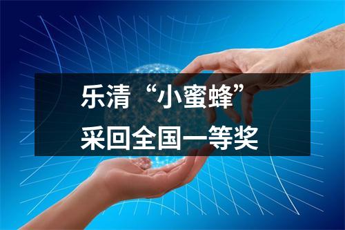 乐清“小蜜蜂” 采回全国一等奖