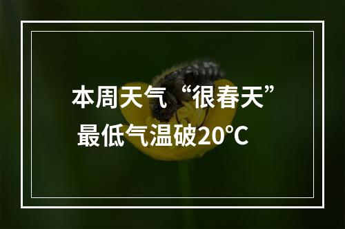 本周天气“很春天” 最低气温破20℃