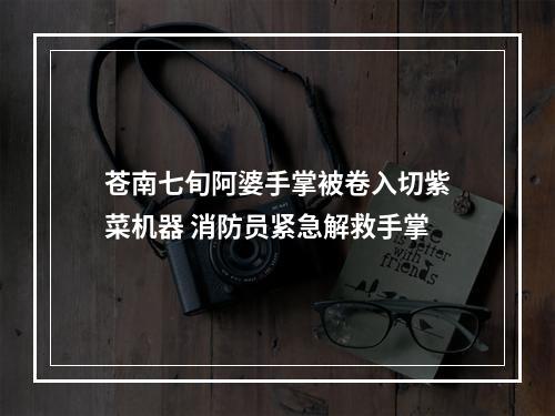 苍南七旬阿婆手掌被卷入切紫菜机器 消防员紧急解救手掌