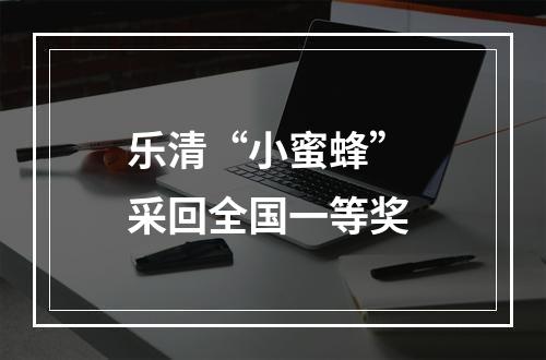 乐清“小蜜蜂” 采回全国一等奖