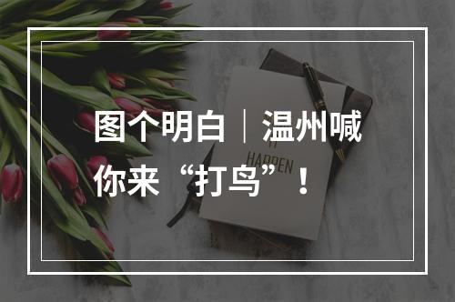 图个明白｜温州喊你来“打鸟”！