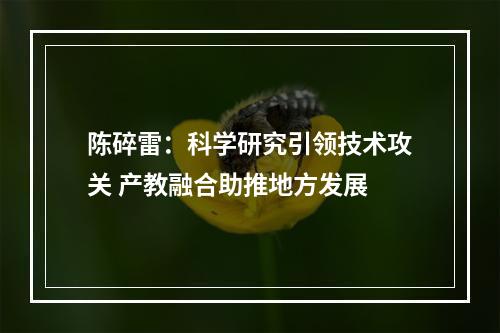 陈碎雷：科学研究引领技术攻关 产教融合助推地方发展