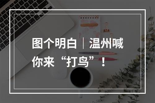 图个明白｜温州喊你来“打鸟”！